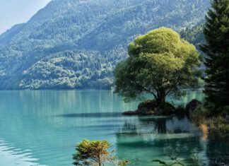 Le esperienze da vivere in montagna d’estate: trekking, relax e buona cucina trentino alto adige foto
