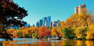 parchi-new-york