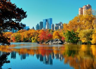 parchi-new-york