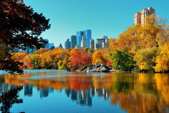parchi-new-york parchi-new-york