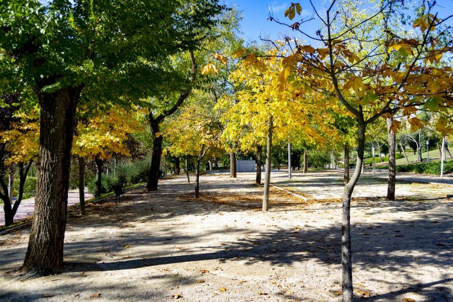 Parque Juan Carlos I