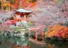 Viaggi in primavera: le top location da scoprire kyoto