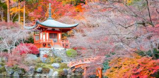 kyoto