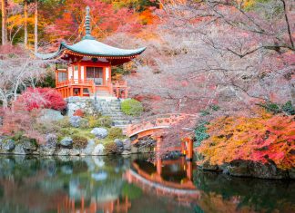 Kyoto, cosa vedere della città giapponese kyoto
