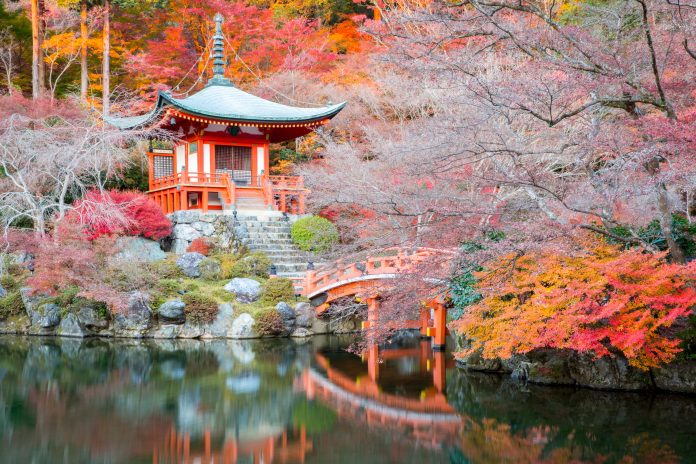 kyoto kyoto