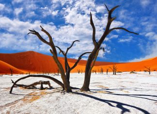 Alla scoperta della Namibia: info, curiosità e luoghi da visitare alla scoperta della namibia