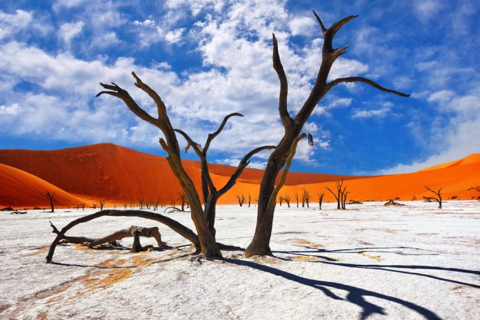 alla scoperta della namibia alla scoperta della namibia