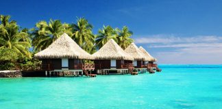 maldive