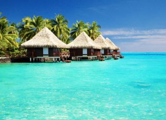 Alla scoperta delle Maldive: guida completa tra paradisi naturali e consigli utili maldive