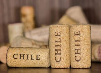 Tour del vino in Cile: i più famosi e consigli tour vino cile
