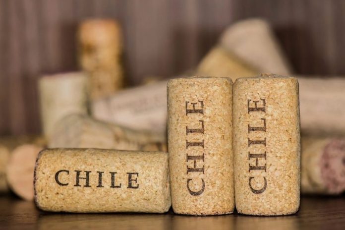 tour vino cile tour vino cile