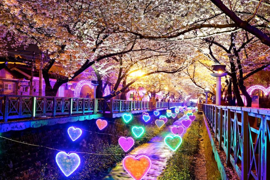 cosa-fare-la-sera-a-busan