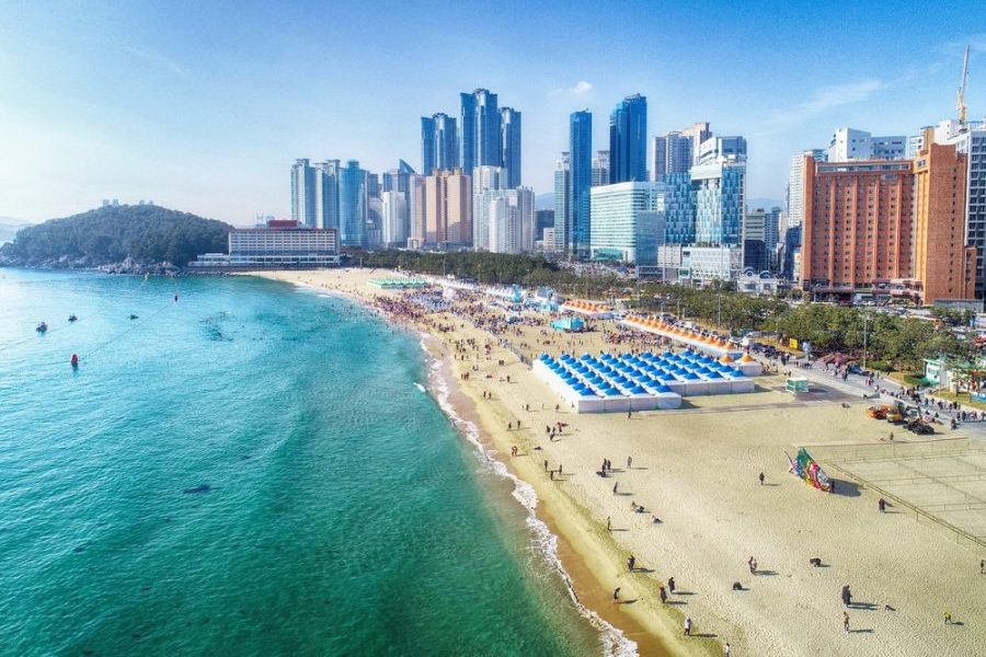 cosa-vedere-a-busan