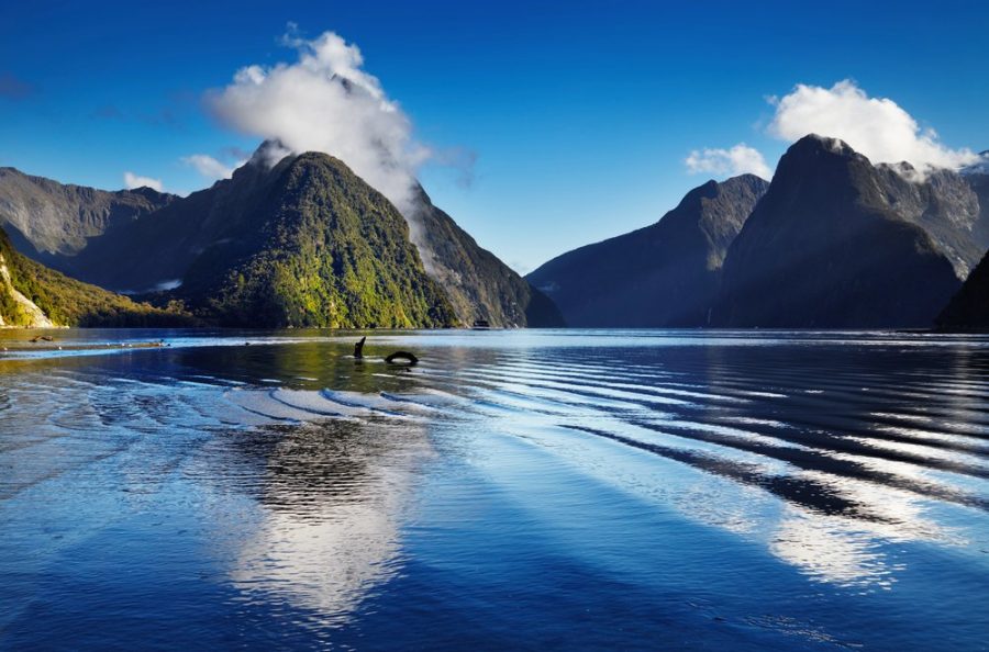 Milford Sound, Nuova Zelanda