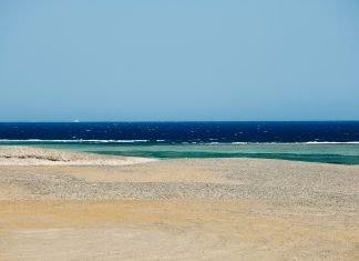 Marsa Alam: cosa fare nella famosa località del Mar Rosso marsa alam