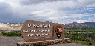 siti dinosauri da visitare