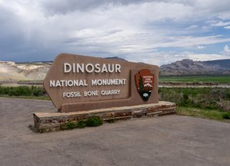 siti dinosauri da visitare