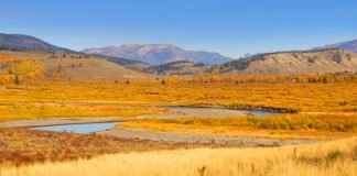Yellowstone in autunno: cosa vedere e luoghi da non perdere yellowstone autunno